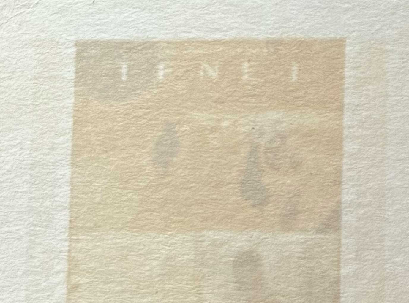 Close-Up of Anthotype Print Example - 70mm Tenet Film Strip