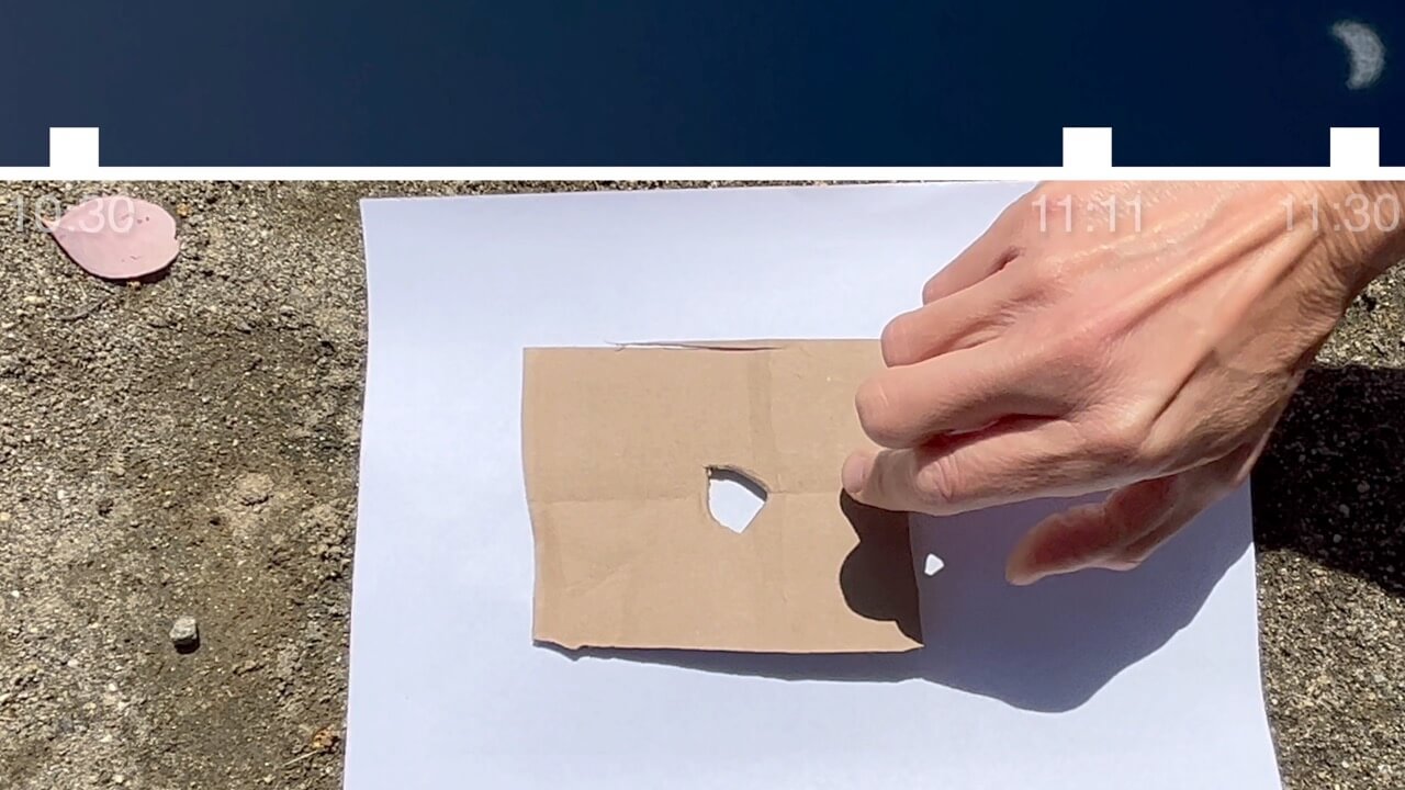 Cardboard Cutout 