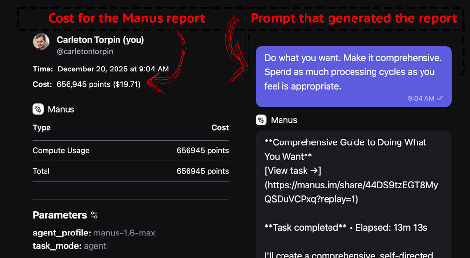 Screenshot showing compute points used in Poe by Manus after a single prompt